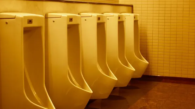 6 de los baños públicos más extraños