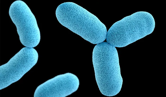Dangerous bacteria in the toilet - facts or myths?