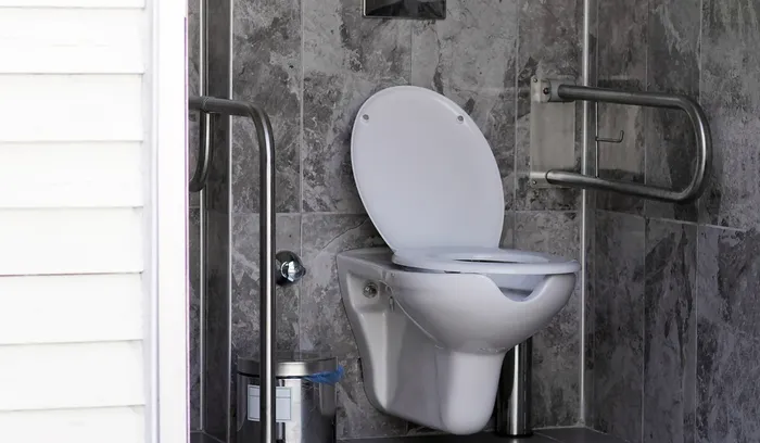 Toilet for the disabled - design principles, regulations, guidelines